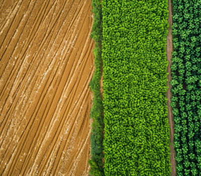 Agriculture et agroalimentaire